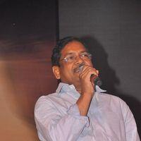 Srimannarayana Movie Audio Release Pictures | Picture 245363