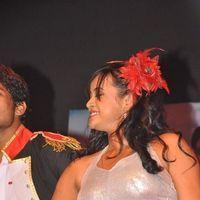 Srimannarayana Movie Audio Release Pictures | Picture 245370