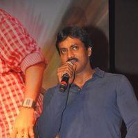 Sunil Varma - Srimannarayana Movie Audio Release Pictures