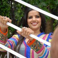Madhu Sharma Latest Stills from New Movie Opening | Picture 246455