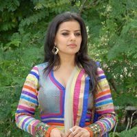 Madhu Sharma Latest Stills from New Movie Opening | Picture 246486