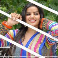 Madhu Sharma Latest Stills from New Movie Opening | Picture 246489