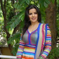 Madhu Sharma Latest Stills from New Movie Opening | Picture 246504