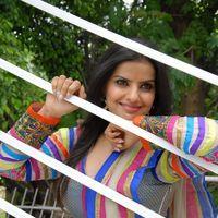 Madhu Sharma Latest Stills from New Movie Opening | Picture 246509