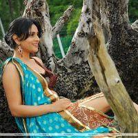 Ramya aka Divya Spandana - Kicha Movie New stills | Picture 250232