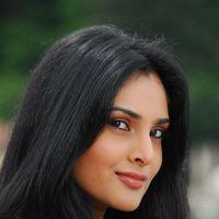 Ramya aka Divya Spandana - Kicha Movie New stills | Picture 250263