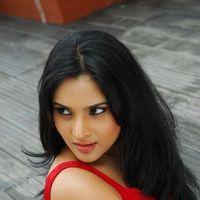 Ramya aka Divya Spandana - Kicha Movie New stills | Picture 250296