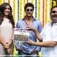 Romance Movie Opening - Photos | Picture 249555