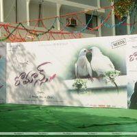 Romance Movie Opening - Photos | Picture 249556