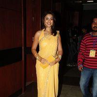 Richa Gangopadhyay - Celebrities at Santosham Film Awards 2012 - Stills