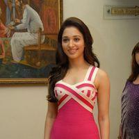 Tamanna at Rebel Trailer Launch Photos | Picture 252952