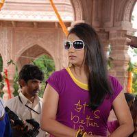 Shivani Hot Stills at Baja Bhajantrilu Movie Press Meet | Picture 257165