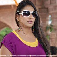 Shivani Hot Stills at Baja Bhajantrilu Movie Press Meet | Picture 257166