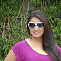 Shivani Hot Stills at Baja Bhajantrilu Movie Press Meet | Picture 257169