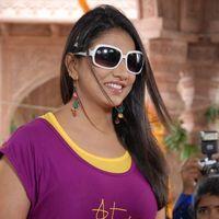 Shivani Hot Stills at Baja Bhajantrilu Movie Press Meet | Picture 257230