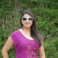 Shivani Hot Stills at Baja Bhajantrilu Movie Press Meet | Picture 257231
