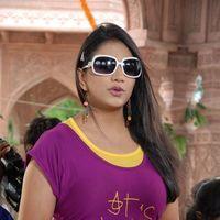 Shivani Hot Stills at Baja Bhajantrilu Movie Press Meet | Picture 257235