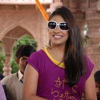 Shivani Hot Stills at Baja Bhajantrilu Movie Press Meet | Picture 257236