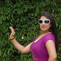 Shivani Hot Stills at Baja Bhajantrilu Movie Press Meet | Picture 257403