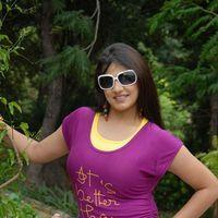 Shivani Hot Stills at Baja Bhajantrilu Movie Press Meet | Picture 257411
