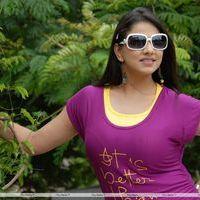 Shivani Hot Stills at Baja Bhajantrilu Movie Press Meet | Picture 257449