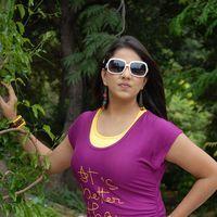 Shivani Hot Stills at Baja Bhajantrilu Movie Press Meet | Picture 257456