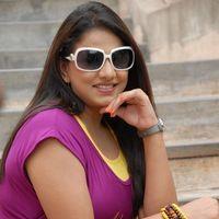 Shivani Hot Stills at Baja Bhajantrilu Movie Press Meet | Picture 257460