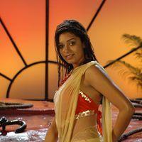 Chaya Singh - Lemon Movie Stills