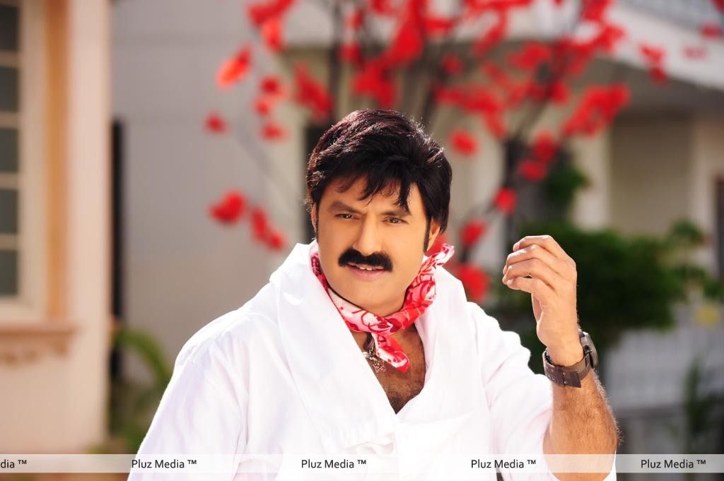 Nandamuri Balakrishna - Srimannarayana Movie Latest Stills | Picture 259071