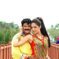Srimannarayana Movie Latest Stills | Picture 259048