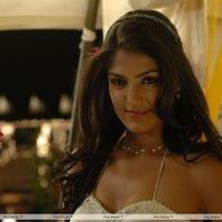 Rhea Chakraborty Latest Stills from Tuniga Tuniga Movie  | Picture 259827