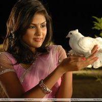 Rhea Chakraborty Latest Stills from Tuniga Tuniga Movie  | Picture 259872
