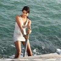 Sanjjanna Galrani - Jagan Nirdoshi Movie Hot Stills | Picture 262147
