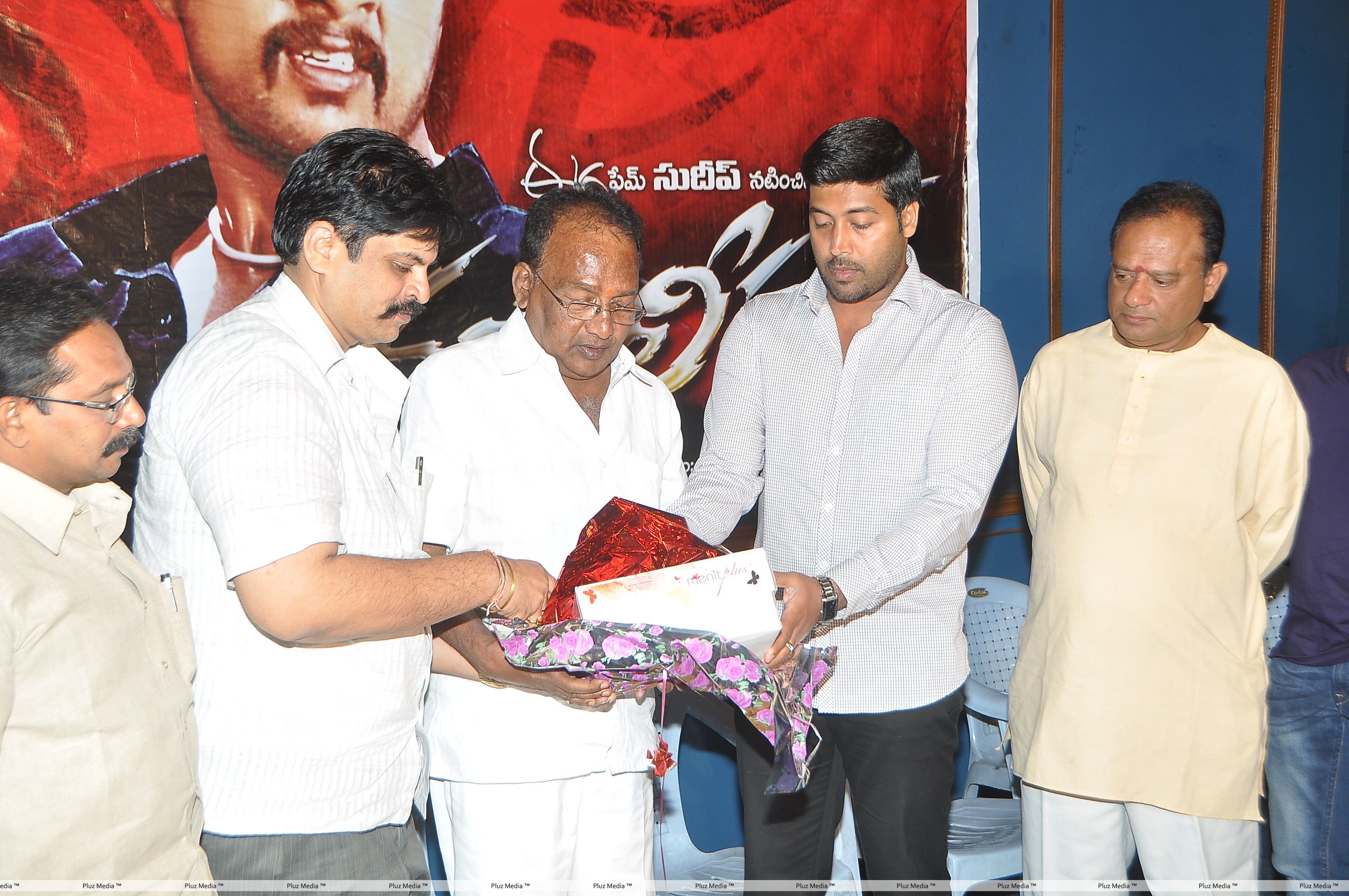 Mass Leader Movie Audio Release Photos | Picture 264427