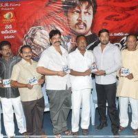 Mass Leader Movie Audio Release Photos | Picture 264429