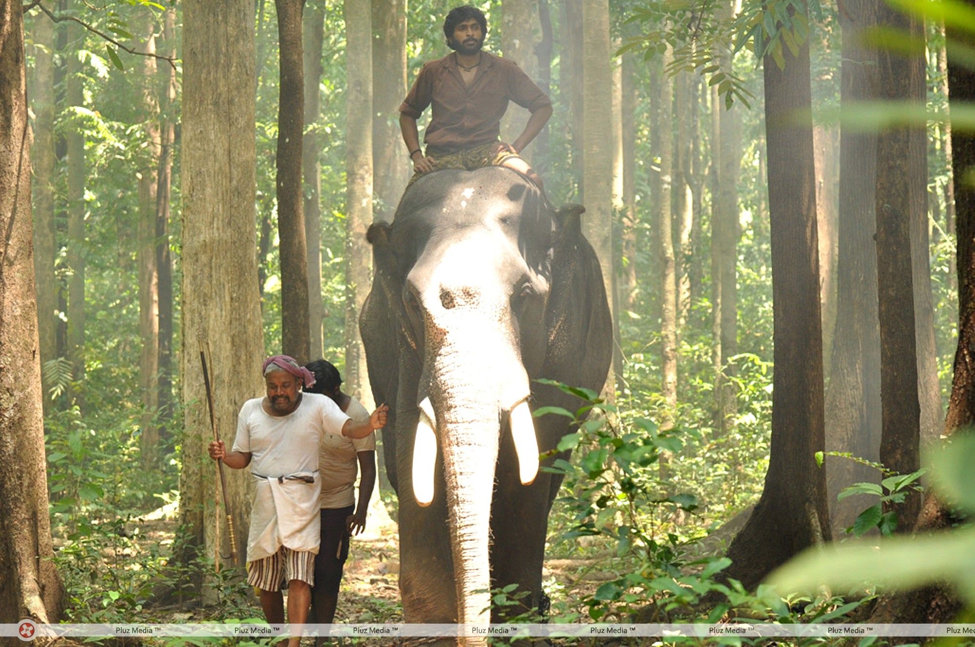 Thambi Ramaiah - Gajaraju Movie Stills | Picture 331485