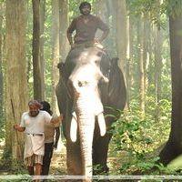 Thambi Ramaiah - Gajaraju Movie Stills