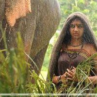 Lakshmi Menon - Gajaraju Movie Stills