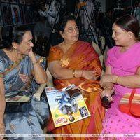 MAA Diary 2013 Launch Stills | Picture 333225