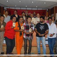 MAA Diary 2013 Launch Stills | Picture 333455