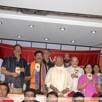 MAA Diary 2013 Launch Stills | Picture 333456