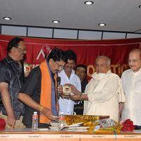 MAA Diary 2013 Launch Stills | Picture 333463