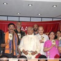 MAA Diary 2013 Launch Stills | Picture 333466