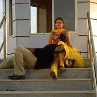 Anarkali Movie Stills | Picture 336895