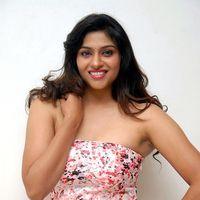 Lakshmi Nair Hot Stills at Shivani Movie Audio Launch | Picture 336609