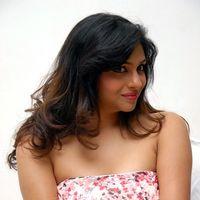 Lakshmi Nair Hot Stills at Shivani Movie Audio Launch | Picture 336619