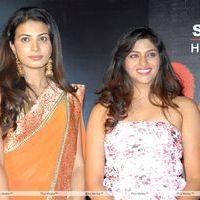 Shivani Movie Audio Release Photos | Picture 337155