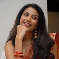Kavya Shetty Cute Stills at Shivani Movie Audio Release | Picture 336453