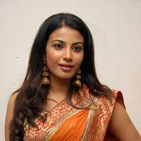 Kavya Shetty Cute Stills at Shivani Movie Audio Release | Picture 336528