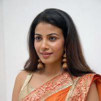 Kavya Shetty Cute Stills at Shivani Movie Audio Release | Picture 336529